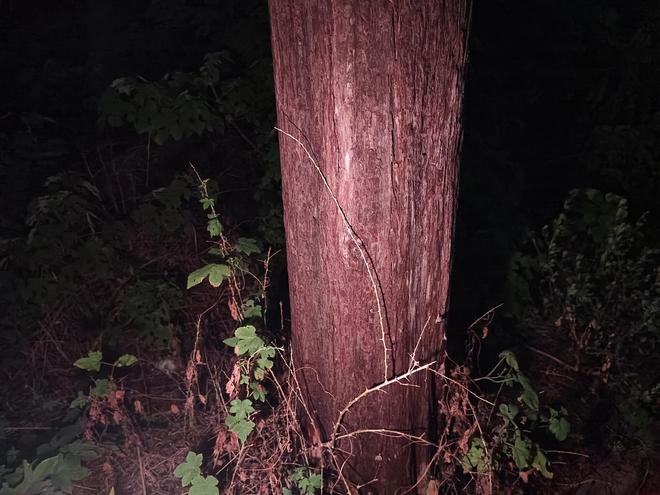 x小魔方头灯体验让你爱不释手！新葡京娱乐城超轻超能！Feni(图9)